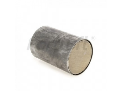 Fortluft Ремонтный блок катализатора 101150E4