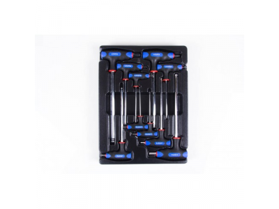 Набор ключей Т-образных шестгранных H2-H12 с пластиковой рукояткой 10пр. в ложементе