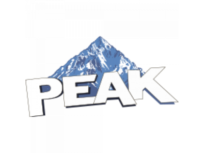 Ремкомплект цилиндра для подъемников PEAK 208/208C/209/209X